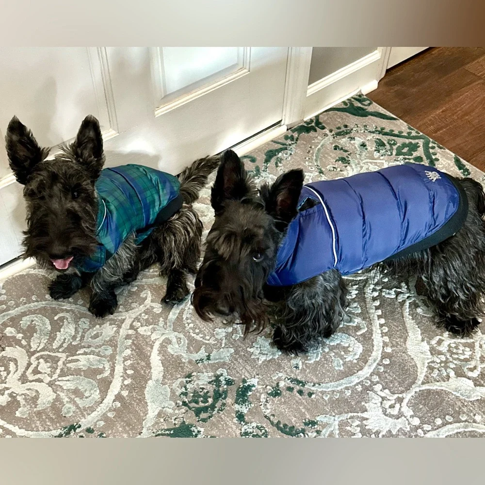 Hip Doggie Navy Plaid Flex-Fit Reversible Dog Coat size large SEE PHOTOS